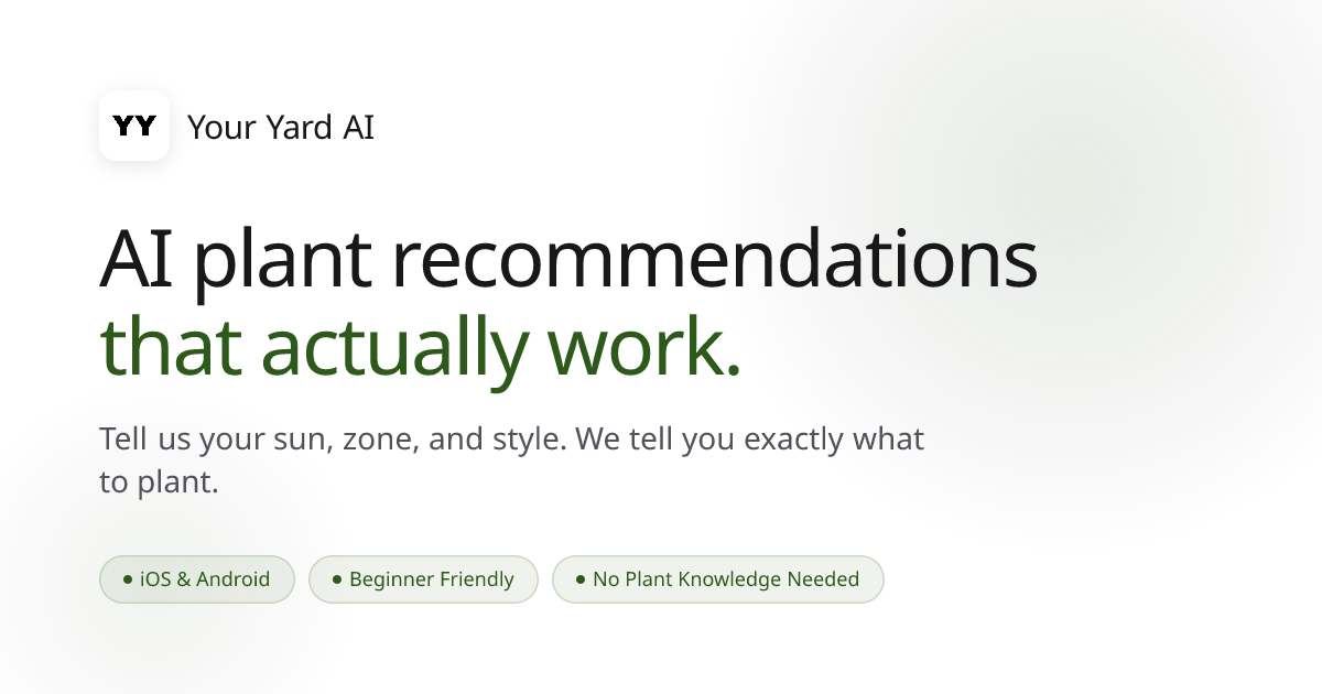 Your Yard AI | AI Plant Recommendations & Yard Design App